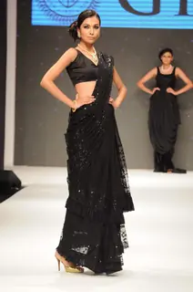 Models walk on the ramp for GIA India at IIJW 2011 show day 3. .