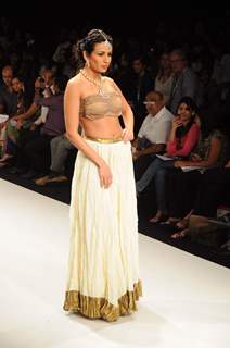 Models walk on the ramp for Dipti Amisha at IIJW 2011 show day 3. .