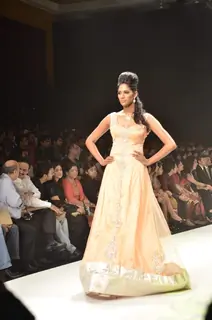 Models walk on the ramp for Agni at IIJW 2011 show day 3. .