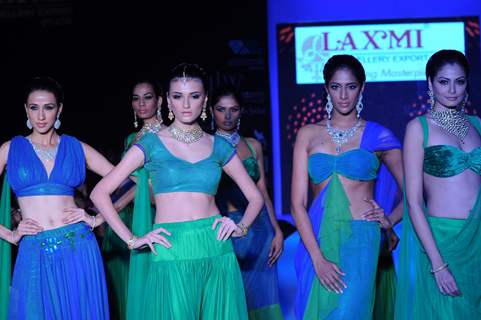 Models walks the ramp for Laxmi Jewellery Export at IIJW 2011 Day 4. .