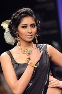 Models walks the ramp for Alpana Gujral at IIJW 2011 Day 4. .