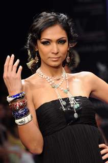 Models walks the ramp for Alpana Gujral at IIJW 2011 Day 4. .