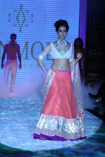 India International Jewellery Week (IIJW) 2011 Day 4 at Hotel Grand Hyatt in Kalina, Mumbai