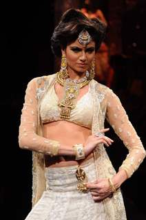 Model walks the ramp at IIJW 2011 Grand Finale . .