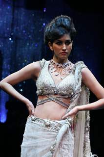 India International Jewellery Week (IIJW) 2011 Finale Show