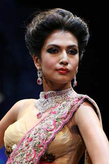 India International Jewellery Week (IIJW) 2011 Finale Show