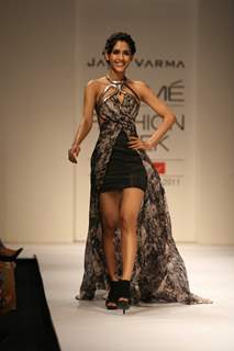 Jatin Varma Recreated The Splendour Of Red Carpet Creations At The Lakmé Fashion Week WinterFestive 2011 Show