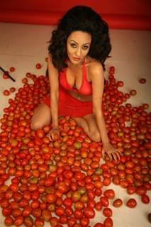 Brand Ambassador of Spanish Tomatina Festival model Vedita Pratap Singh plays with tomatoes and has fun in Mumbai