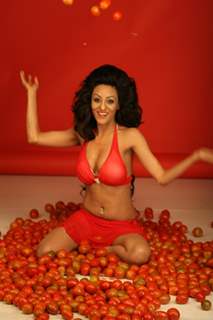 Brand Ambassador of Spanish Tomatina Festival model Vedita Pratap Singh plays with tomatoes and has fun in Mumbai