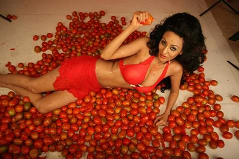 Brand Ambassador of Spanish Tomatina Festival model Vedita Pratap Singh plays with tomatoes and has fun in Mumbai