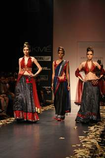 Anita Dongre Show at Lakme Fashion Week 2011 Day 2