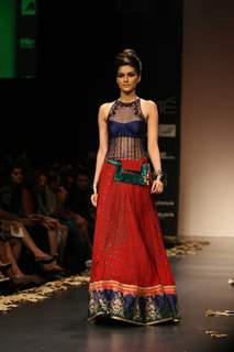 Anita Dongre Show at Lakme Fashion Week 2011 Day 2