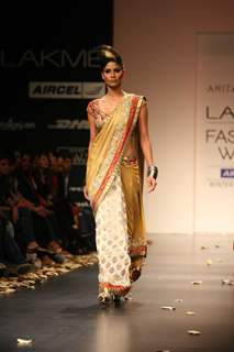 Anita Dongre Show at Lakme Fashion Week 2011 Day 2