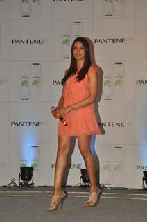 Bipasha Basu new Brand Ambassador during the launch of 'Pantene Shampoo'