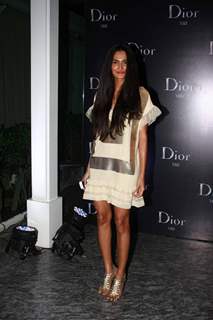 Celebs grace the Dior Viii anniversary bash at Four Seasons