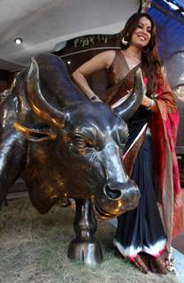 Mahima Chaudhary poses with a bronze statue of a bull after taking part in the Diwali Muhurat Tradin