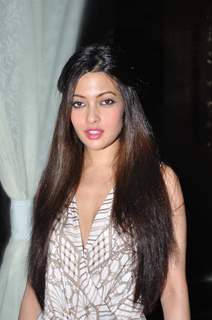 Riya Sen grace the Mumbai London Advertising Forum 2011 at Vie Lounge