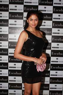 Kavita Kaushik at Ganesh Hegde's birthday bash at Escobar