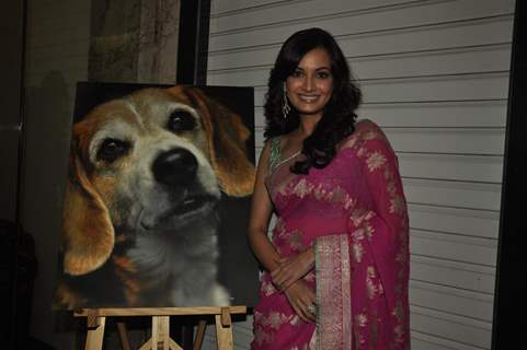 Dia Mirza at PETA Awards ceremony