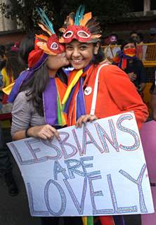 The Delhi Queer Pride 2011, in New Delhi