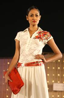 A model showcasing designer Payal Jain's creation at a fashion show at Hyatt Regency in New Delhi