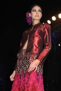 Fashion show at the Swarovski's 10th years celebrations at Austrian Embassy, in New Delhi