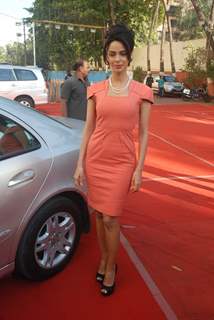 Mallika Sherawat at Spanish Theme New Year's eve press meet at Tulip Star in Juhu, Mumbai