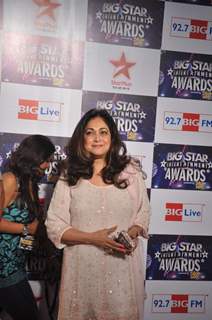 Tina Ambani at Big Star Entertainment Awards at Bhavans Ground in Andheri, Mumbai