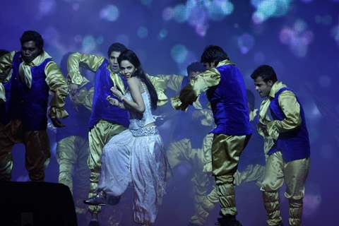 Mallika Sherawat performing at New Year's Eve event at Hotel Tulip Star in Mumbai