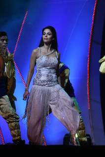 Mallika Sherawat performing at New Year's Eve event at Hotel Tulip Star in Mumbai