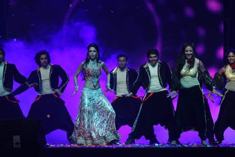 Mallika Sherawat performing at New Year's Eve event at Hotel Tulip Star in Mumbai