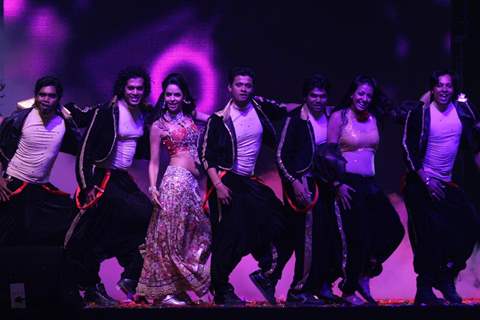 Mallika Sherawat performing at New Year's Eve event at Hotel Tulip Star in Mumbai