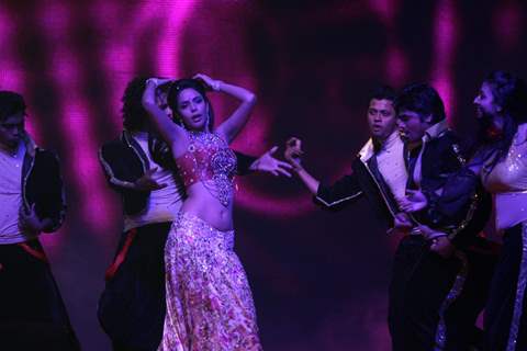 Mallika Sherawat performing at New Year's Eve event at Hotel Tulip Star in Mumbai