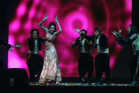 Mallika Sherawat performing at New Year's Eve event at Hotel Tulip Star in Mumbai