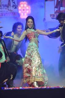 Mallika Sherawat performing at Tulip Star on the eve of New Year.  .