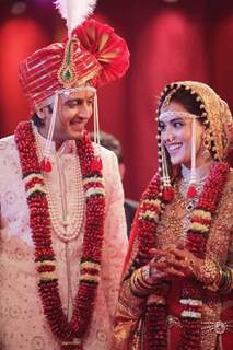 Ritesh Deshmukh & Genelia Dsouza wedding bash in Mumbai