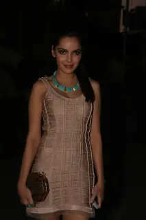 Shazahn Padamsee at First look launch of 'Housefull 2'