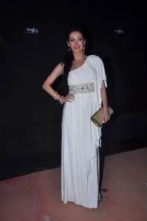 Celebs at Max Stardust Awards 2012 at Bhavans College Grounds in Mumbai