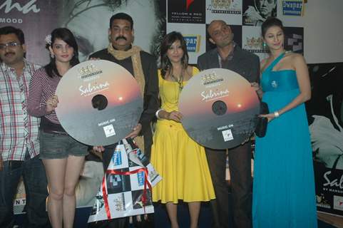 Celeb at Mansoor Mahmood album launch at  Andheri. .