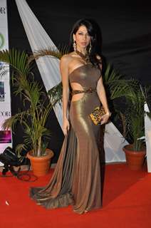 Vida Samadzai at Kelvinator Gr8 Women Awards 2012 in Mumbai