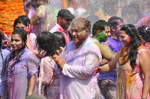 Colors Channel TV serials Artist celebrate Holi