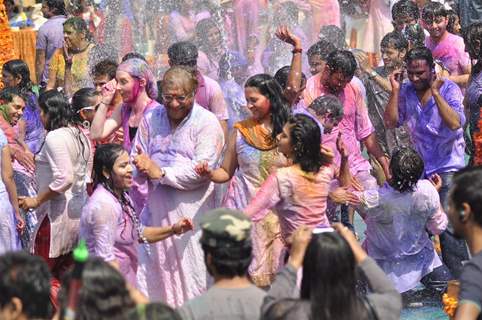 Colors Channel TV serials Artist celebrate Holi