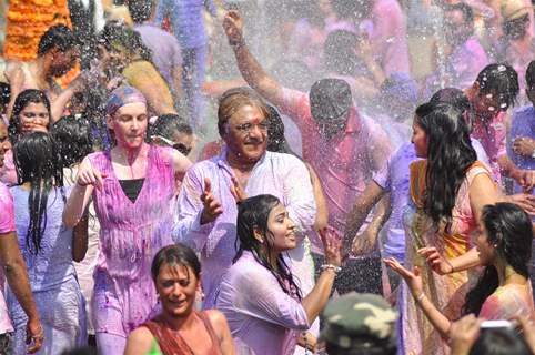 Colors Channel TV serials Artist celebrate Holi