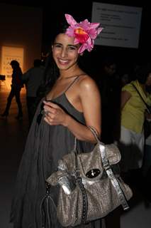 Celebs at Shrivan - Narresh's show at Lakme Fashion Week 2012 Day 1