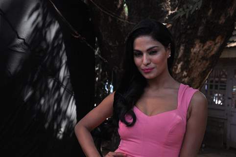 Veena Malik at C N Wadia Gold Cup