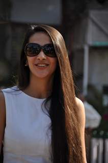 Tara Sharma at C N Wadia Gold Cup