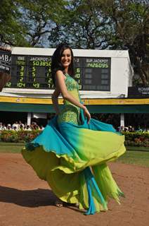 C N Wadia Gold Cup (Grade 2) Horse race at Mahalaxmi Race Course in Mumbai