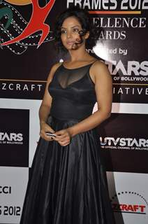 Celebs at FICCI FRAMES 2012 AWARDS at Hotel Renaissance in Powai, Mumbai