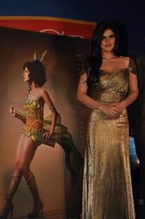 Zarine Khan at 'The Grand Bhagwat' Calendar Launch