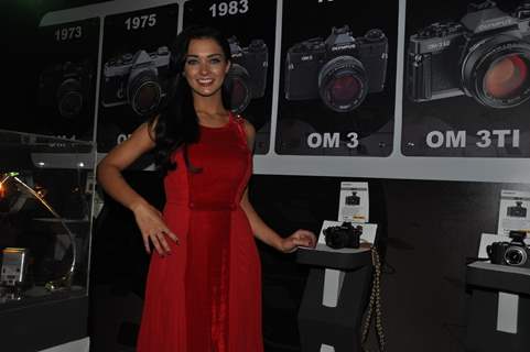 Amy Jackson During The Launch of Olympus OM-D Camera